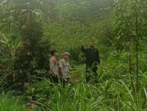 Polsek Sekar dan BPP Sekar Monitoring Langsung Lahan Pertanian untuk Dukung Ketahanan Pangan